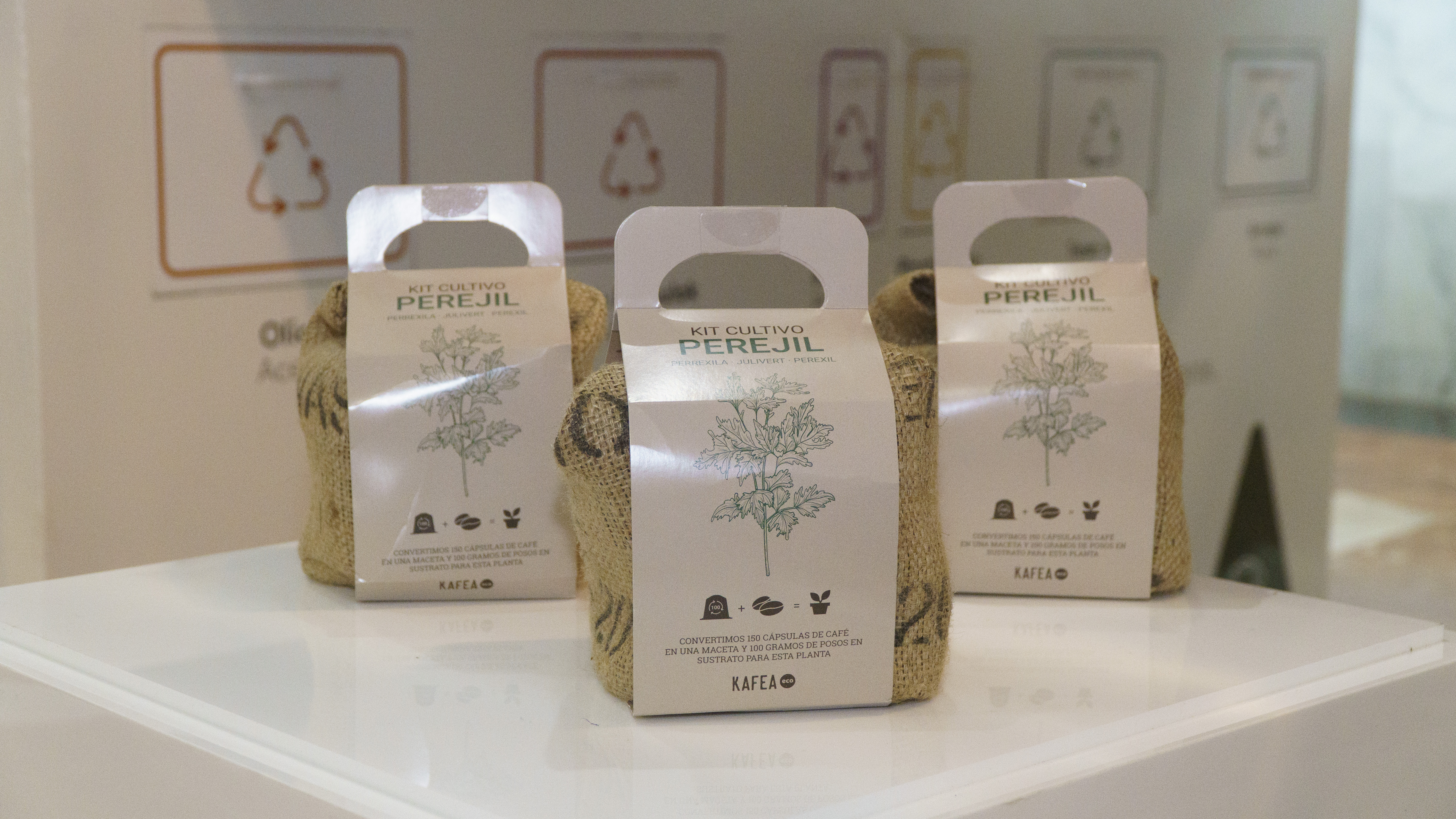 Kits de cultivo de perejil