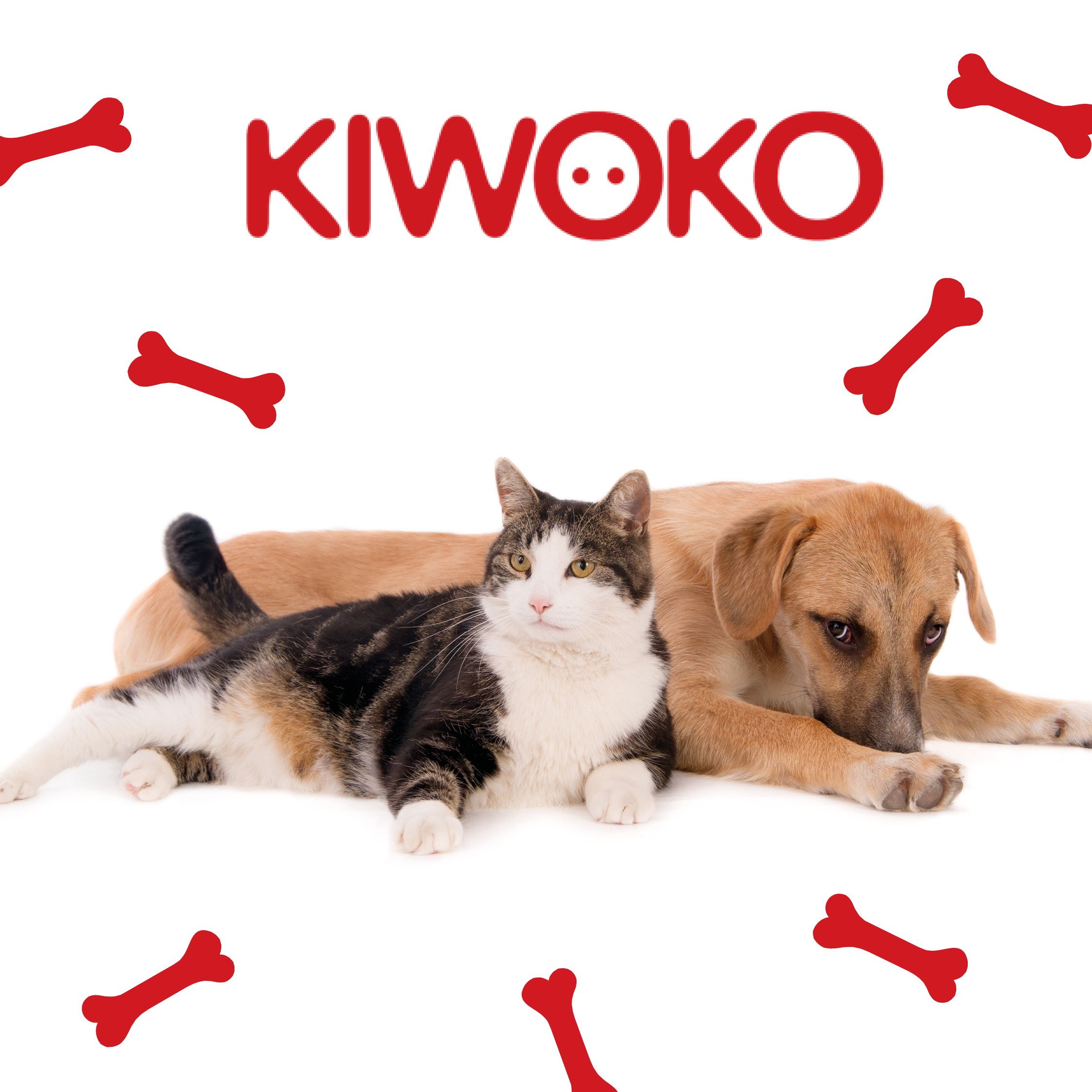 Regalo Kiwoko