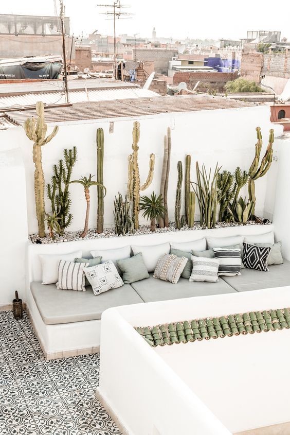 Decoración de terraza en ático con palmera