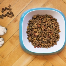 Urbil colabora en la Recogida de Comida para Mascotas