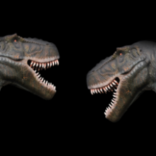 Sorteo de entradas para la Exposición de Dinosaurios