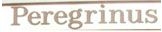 Peregrinus